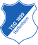 Hoffenheim logo